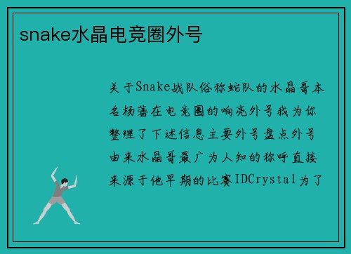 snake水晶电竞圈外号